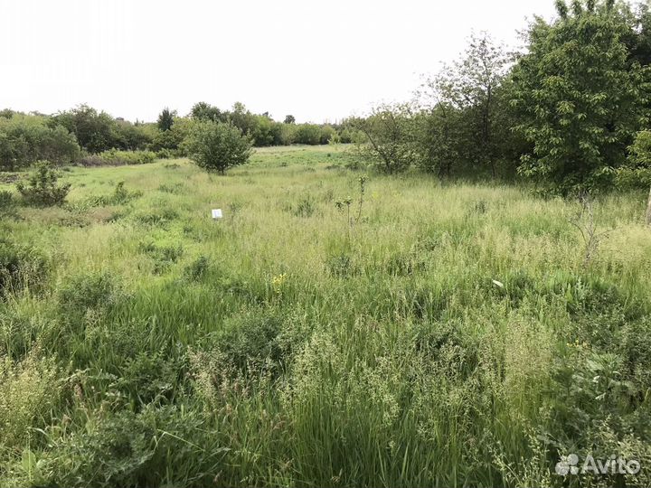 Покос травы