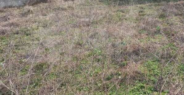 Участок 6 сот. (ИЖС)