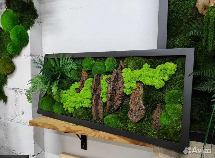 Мох стабилизированный фитокартина фитостена панно