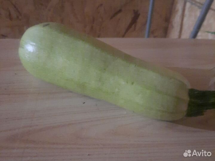 Кабачки домашние