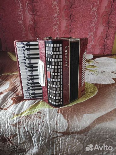 Аккордеон березка