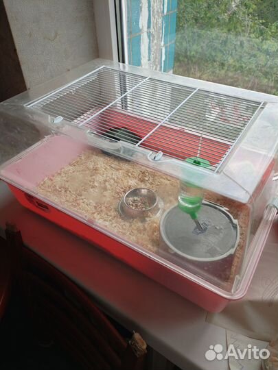 Хомяки с клеткой