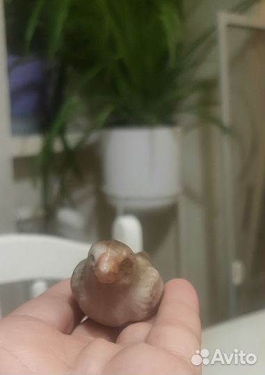 Птичка птенец воробей фарфор старинный