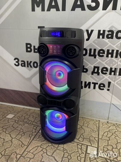 Портативная аудиосистема Fiero Wonder V450