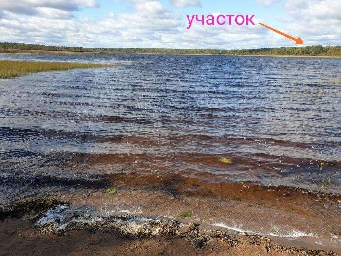 Участок 12 сот. (ИЖС)