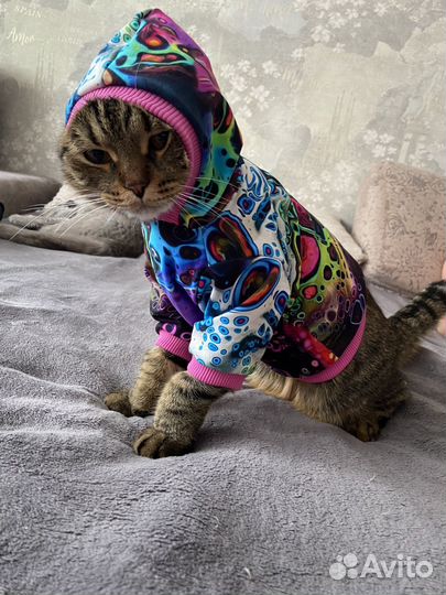 Одежда для собак и кошек