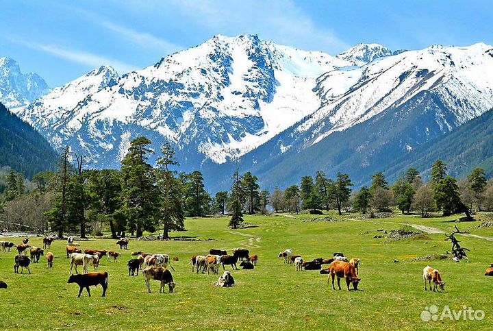 Отдых на Кавказе. Минеральные воды