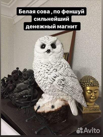 Сова притягивающая деньги в дом