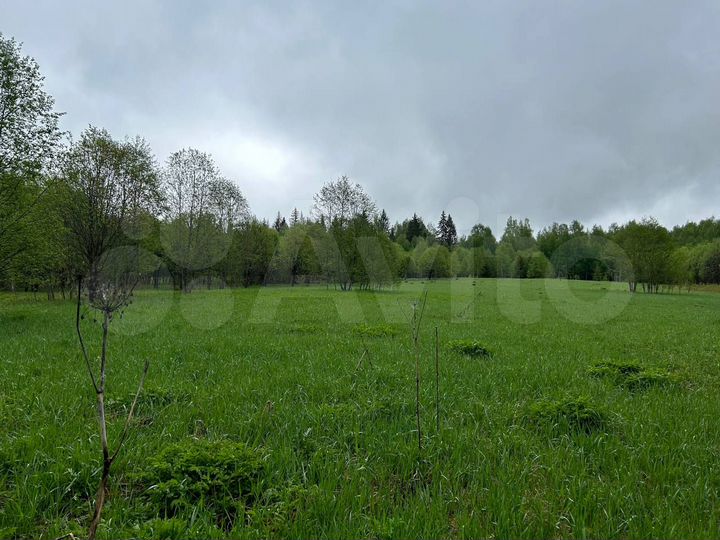 Участок 8,28 га (СНТ, ДНП)