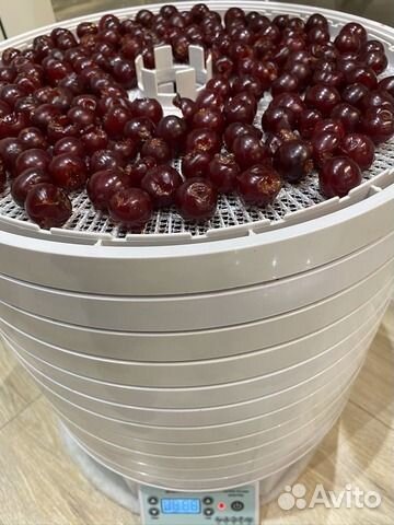 Сушилка для овощей и фруктов Ezidri Snackmaker