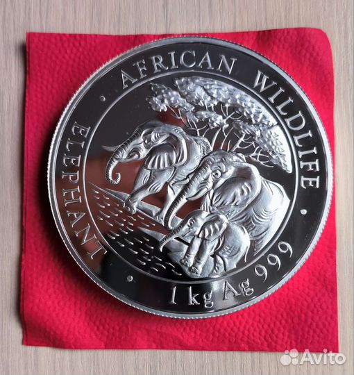 Серебряная инвестиционная монета в капсуле 1 кг