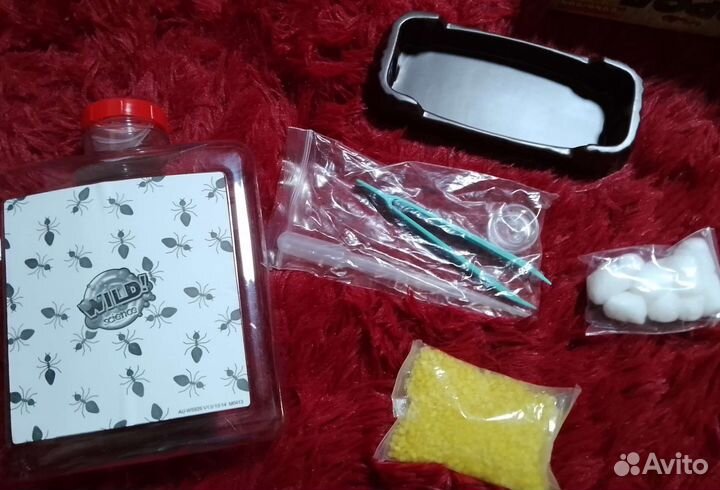 Муравьиная ферма новая