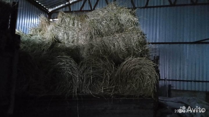 Продается сено люцерна с эспарцетом, овес с викой