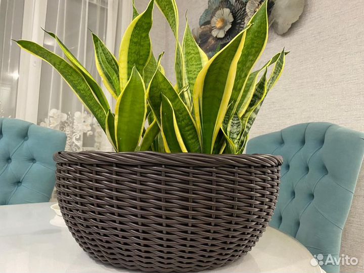 Кашпо из ротанга