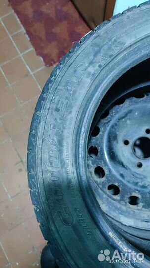 Goodyear Ice Navi Zea 205/55 R16