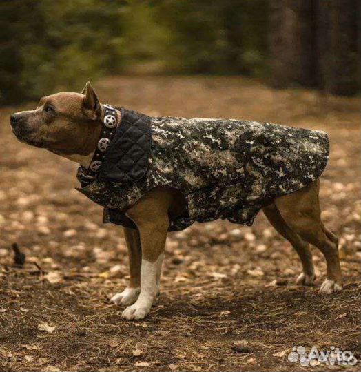 Попона для собак