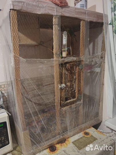 Волнистый попугай самец и самка с большой клеткой