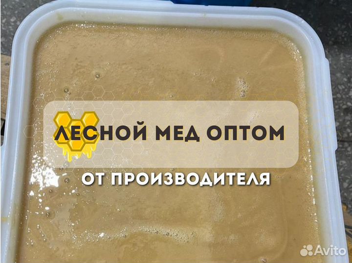 Лесной мёд оптом