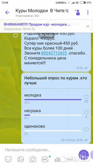 Куры молодки ) район Рахова