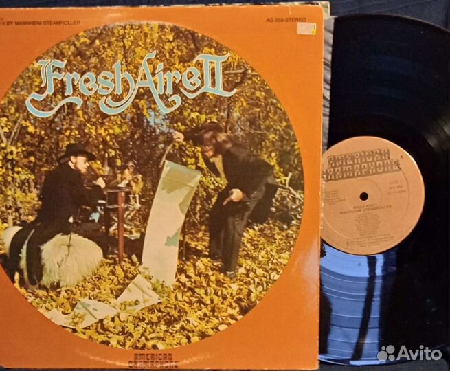 Виниловые пластинки