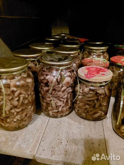 Домашняя консервация. Грибы, помидоры, огурцы