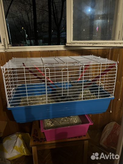 Клетка для грызунов большая
