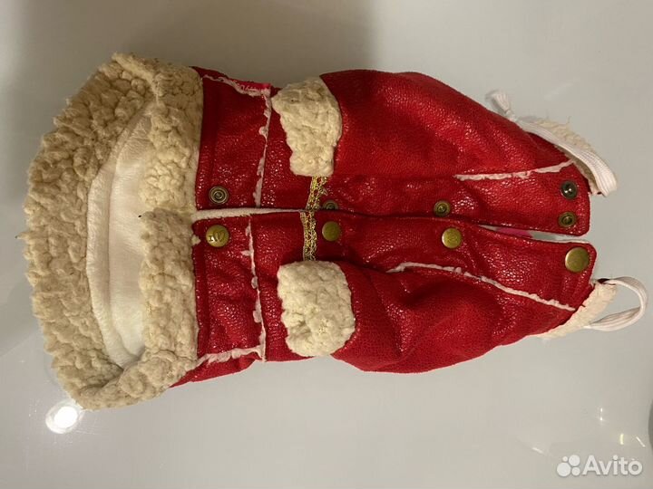 Одежда для маленьких собак