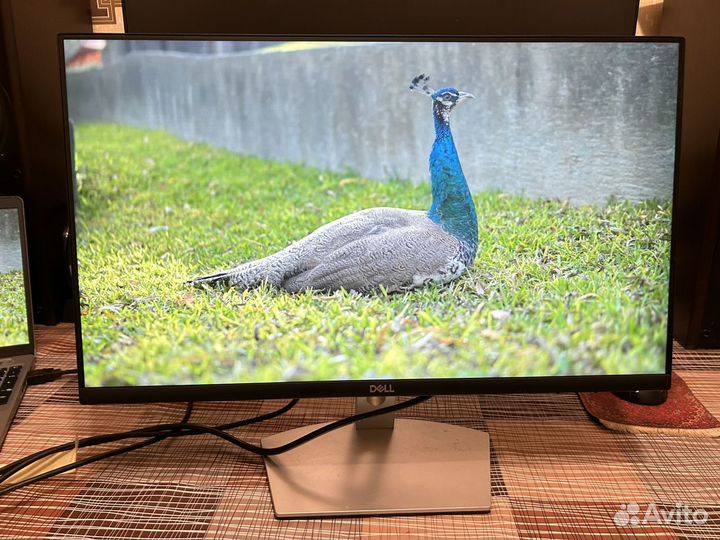 24'' Белый безрамочный монитор Dell S2421HN IPS