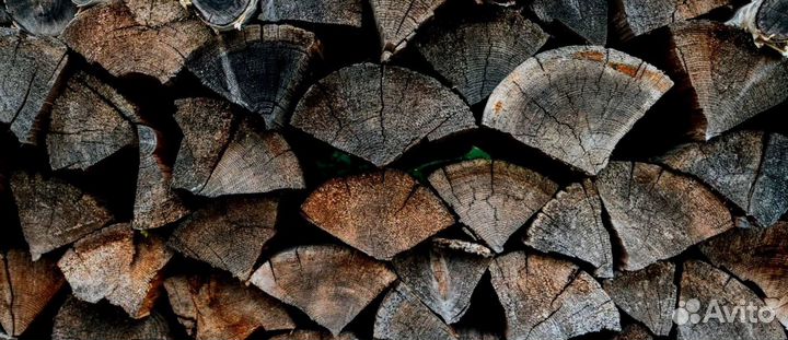 Дрова сегодня