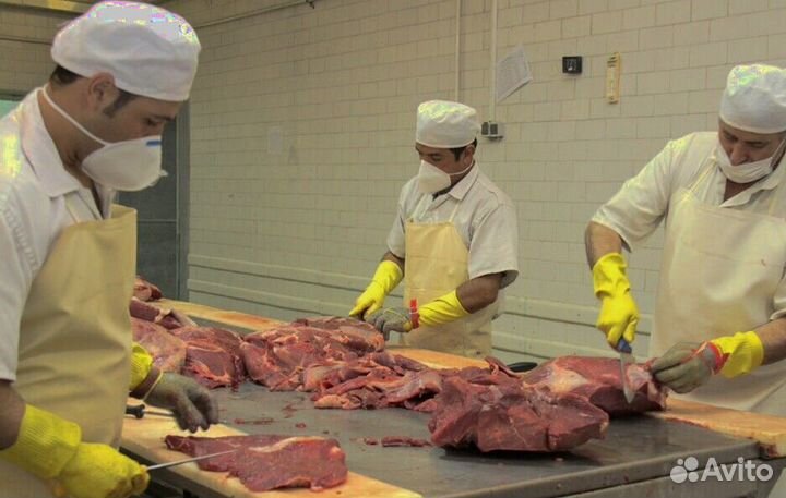 Рабочие на Вахту на производство