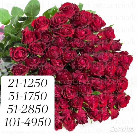 Розы, Доставка роз