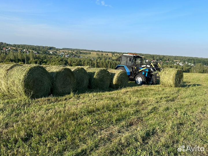 Сено посевное