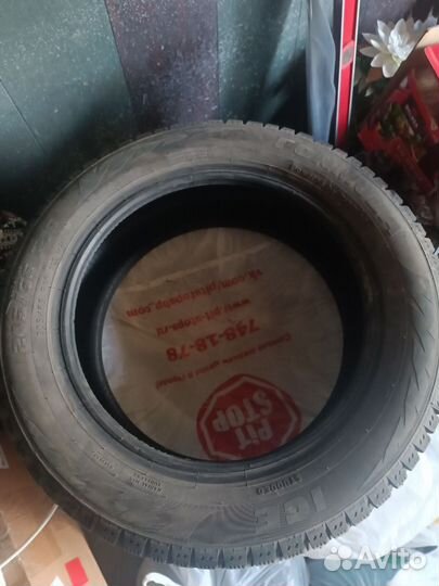 Pirelli Formula Ice 205/55 R16 91T