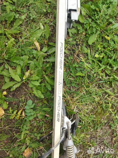 Горные лыжи fischer