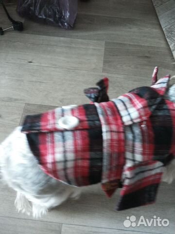 Курточка для собачки