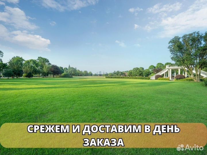 Продажа рулонного газона под ключ