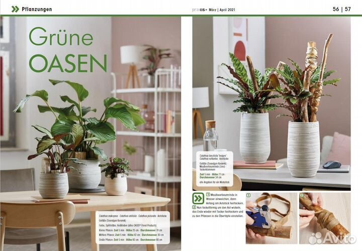 Журнал Praxis № 98