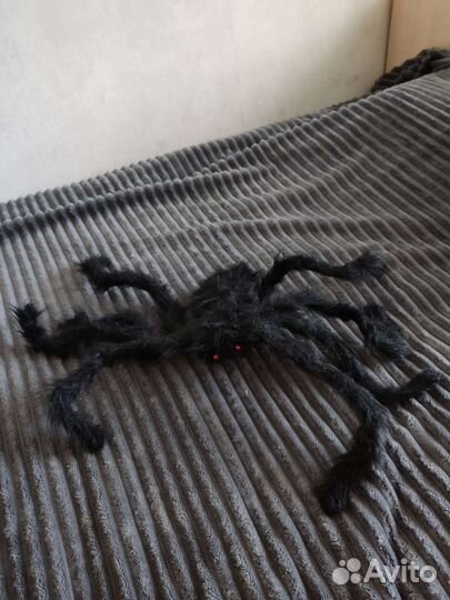 Декор для Хэллоуина паук