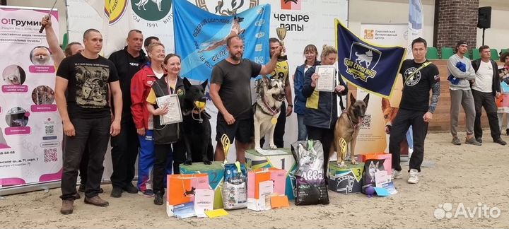 Щенки вео от рабочих родителей