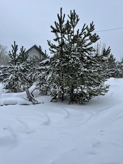 Дом 100 м² на участке 6 сот.