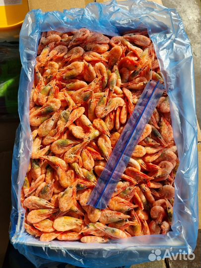Креветки северная 250+