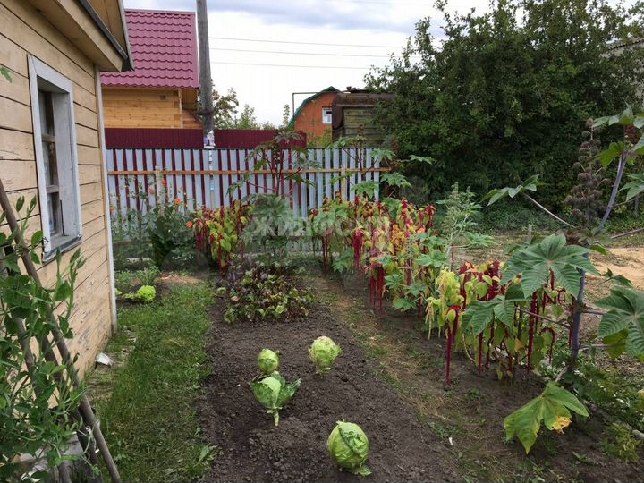 Дача 60 м² на участке 4,9 сот.