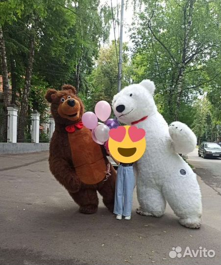 Медведь на день рождения Бурый и белый Мишка