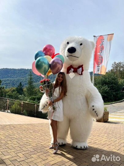 Белый медведь, Супер жорик, зайка и другие