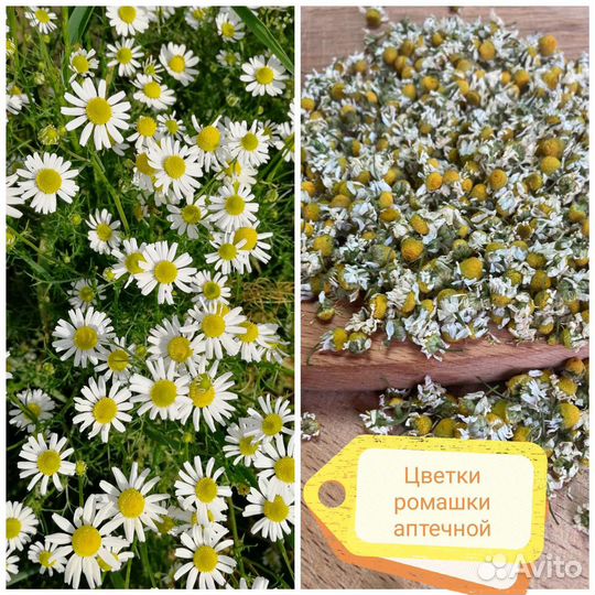 Сушеные травы