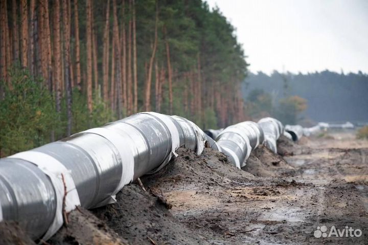 Отводы 1 го (холодногнутые) ГОСТ 24950-81