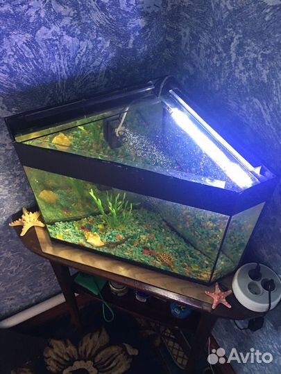 Аквариум