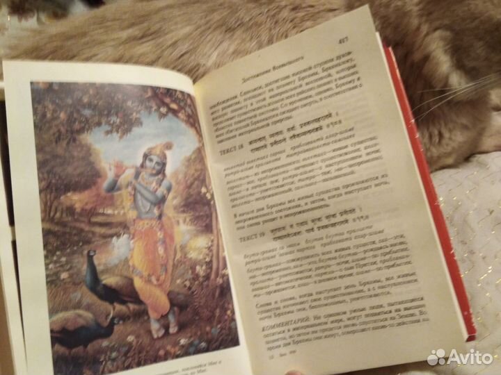 Книга Бхагават гита
