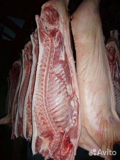 Мясо свинины оптом и розница