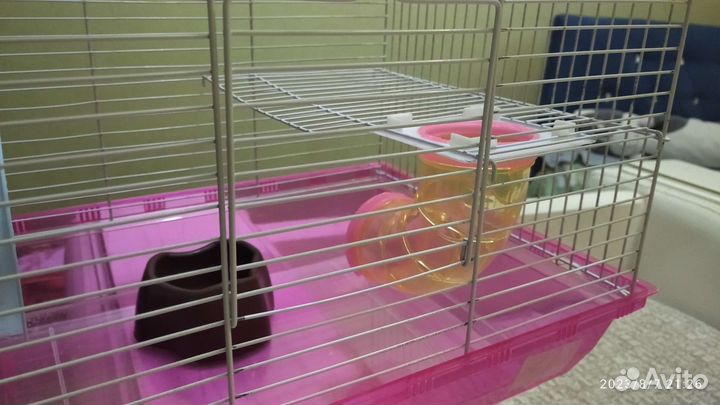 Клетка для хомяка, краски, маленьких попугаев